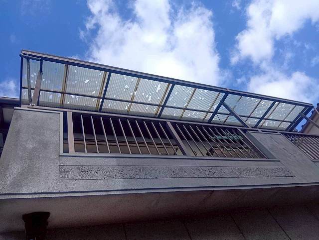 波板　現地調査　雹被害